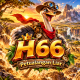 h66